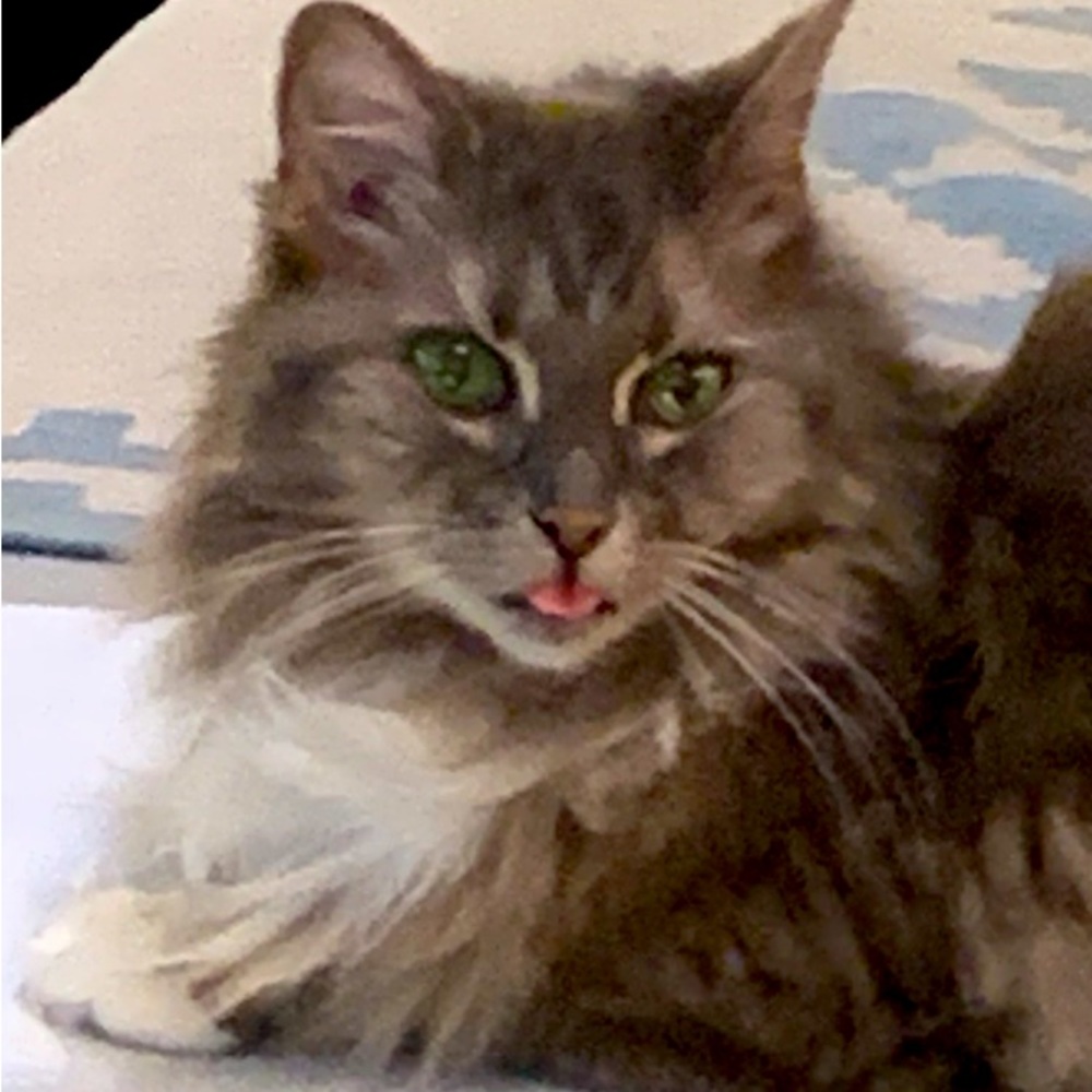 Meet your Posher, Brenda